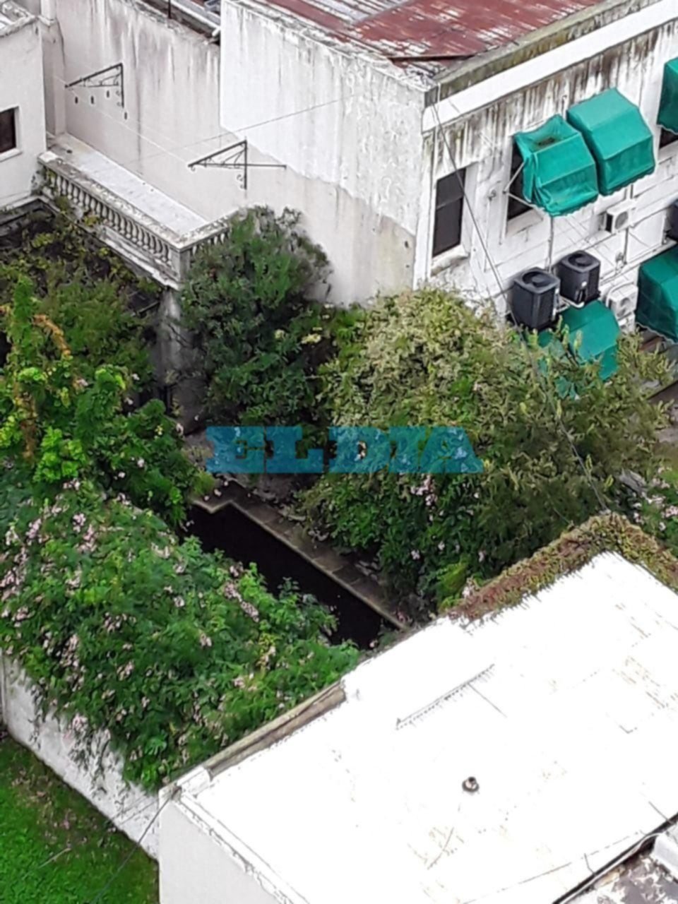 Por temor al dengue, reclaman limpieza de una “pileta” de agua estancada en pleno centro 