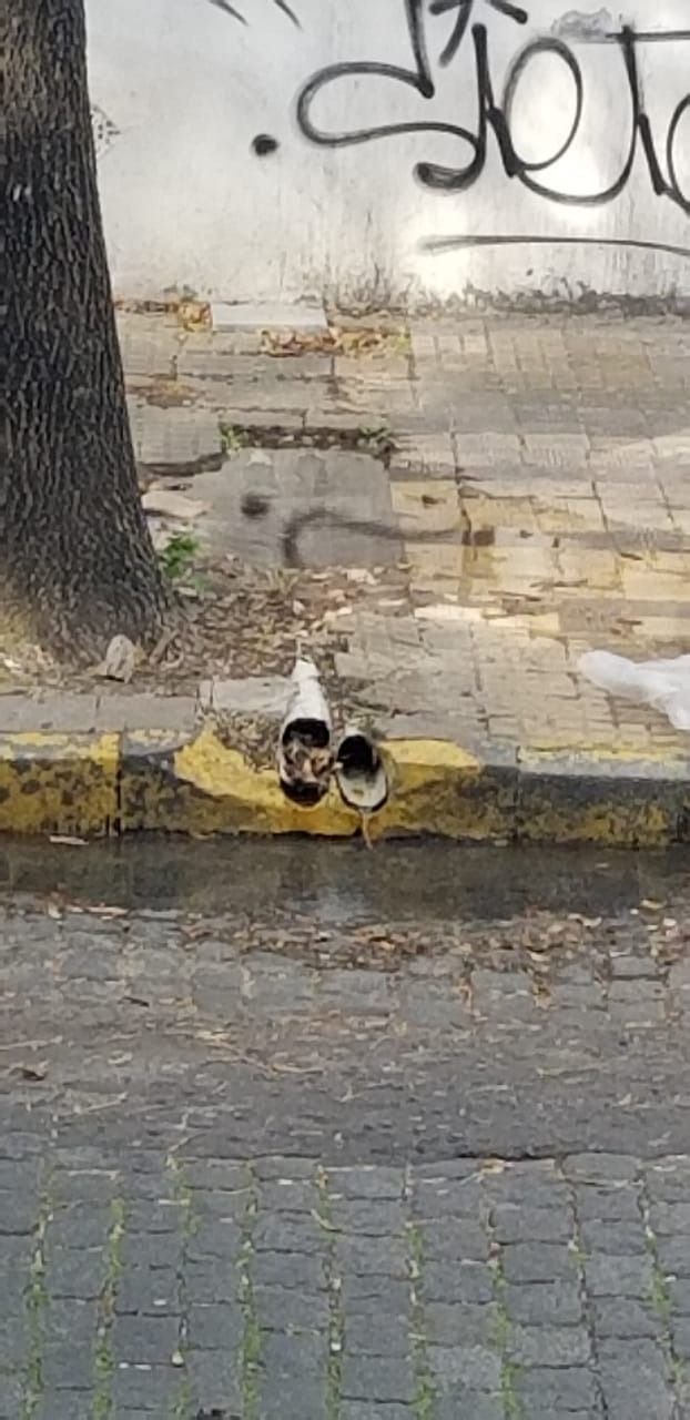 Hace "varios meses" que denuncian una pérdida de agua en 2 y diagonal 80