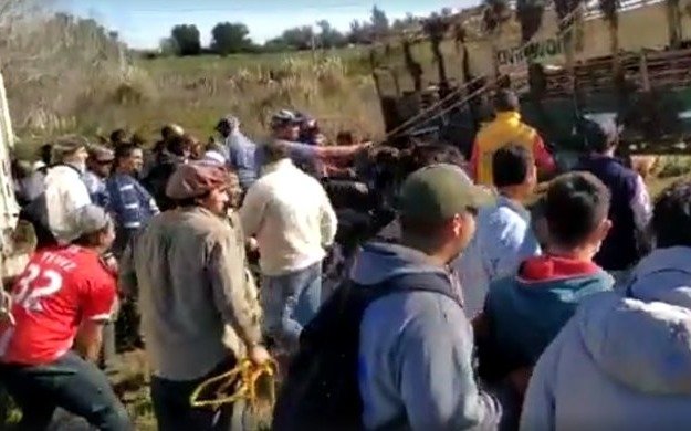 Un camión con cerdos volcó en la autovía 2 y decenas de personas se llevaron los animales