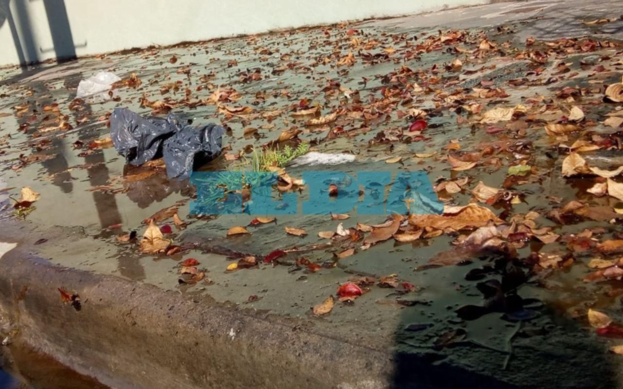 Caño roto y falta de agua desde hace un mes en Villa Elvira