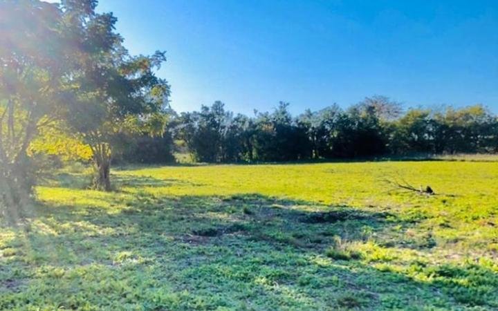 Denuncian que en plena vía pública remataron lotes usurpados en Olmos