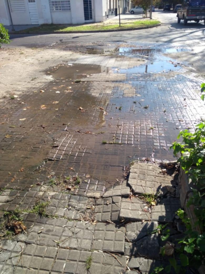 Una cañería rota en varios tramos inunda una vereda
