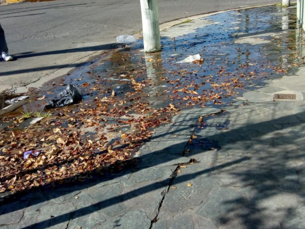 Problemas con la red cloacal en una zona de La Loma