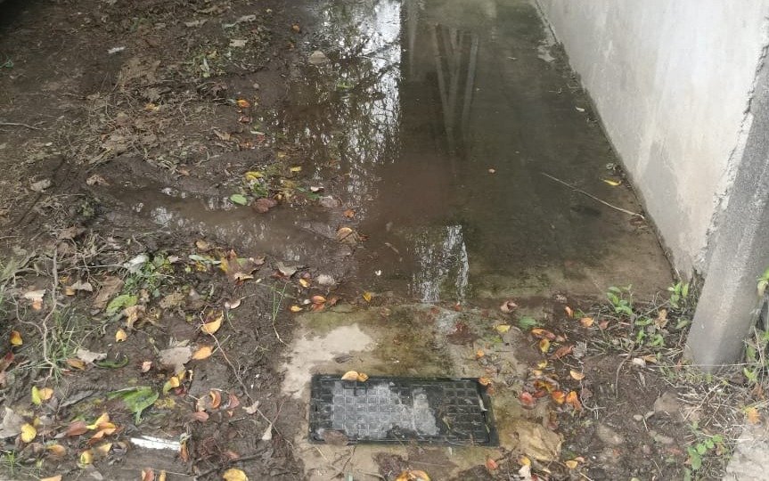 En San Carlos hay una laguna en la vereda