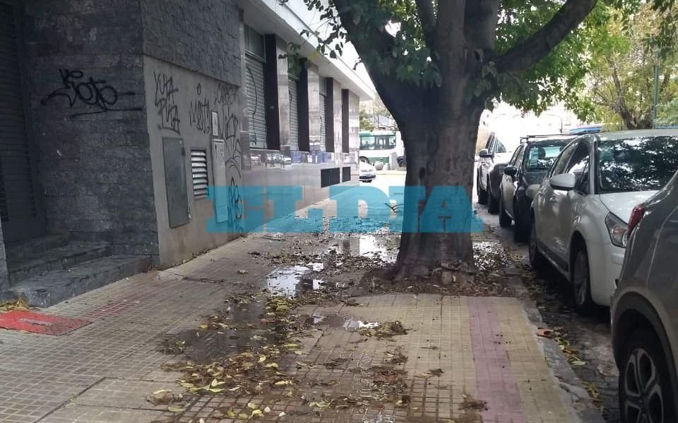 "Vivimos acechados por un desborde cloacal" aseguran en 4  y 46