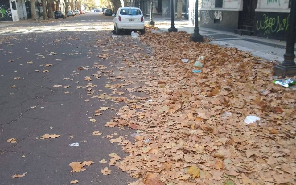 Hojarasca en zona céntrica y trastorno para los comercios