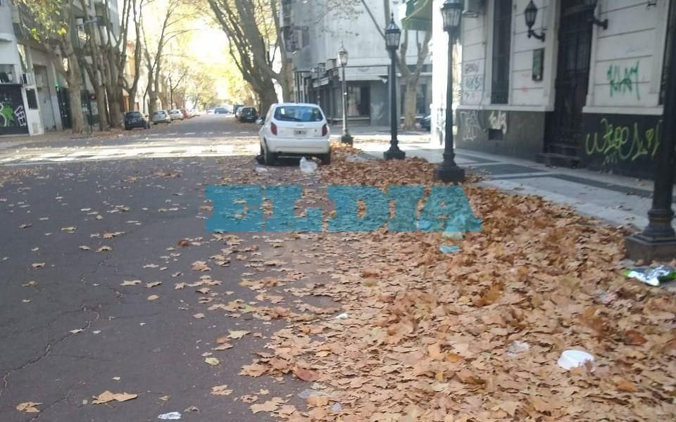 Las hojas se siguen acumulando en las calles de la Ciudad