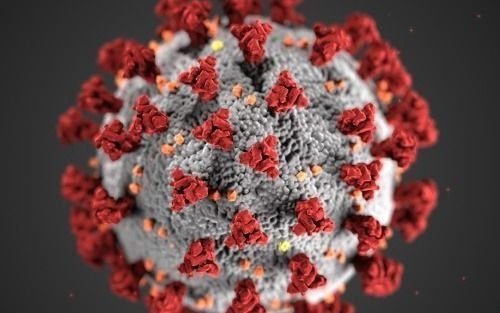 Estudiarán el sistema inmunológico de pacientes con coronavirus para "predecir" su evolución