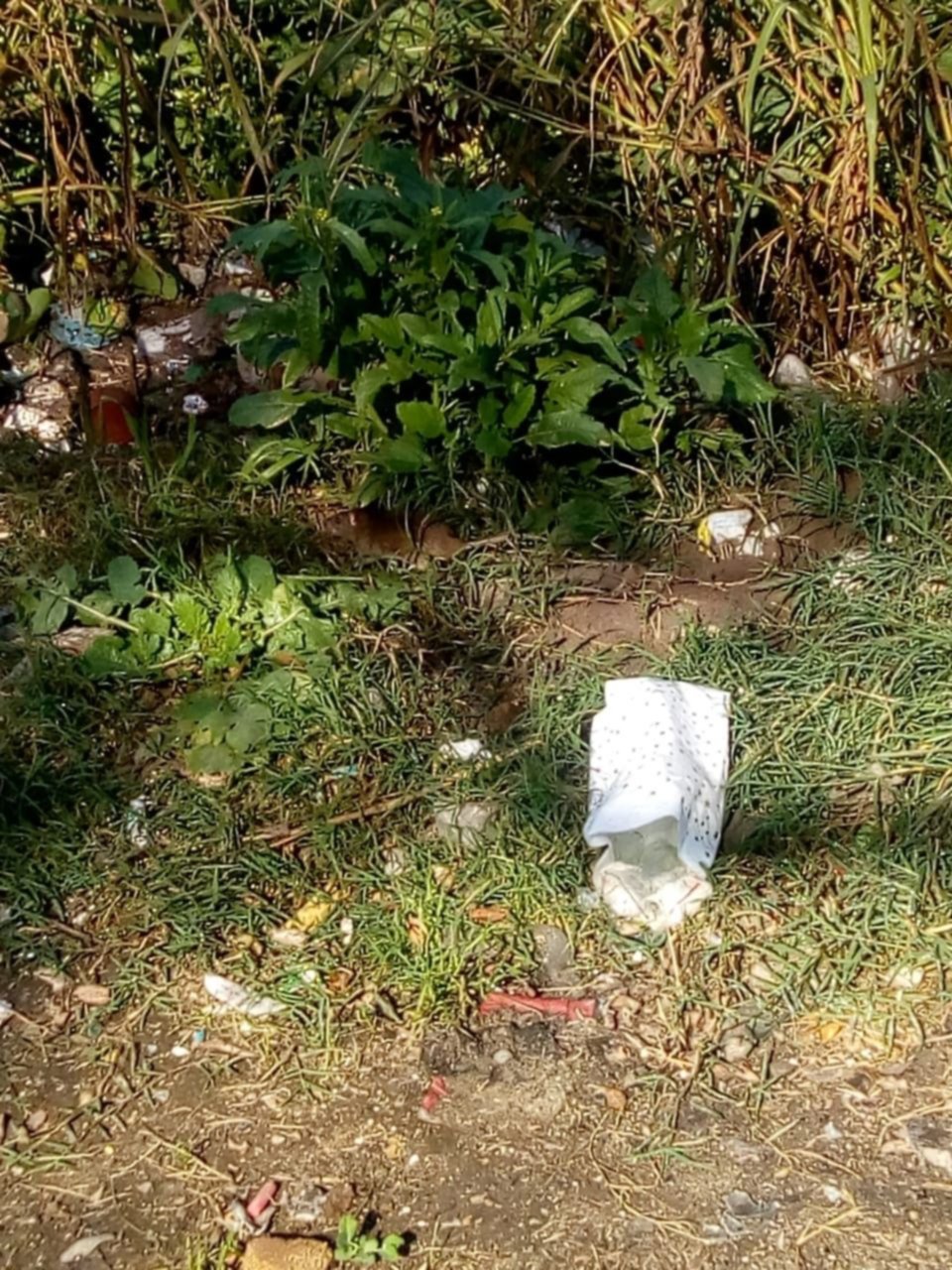 Un basural "repleto de ratas" en Los Hornos