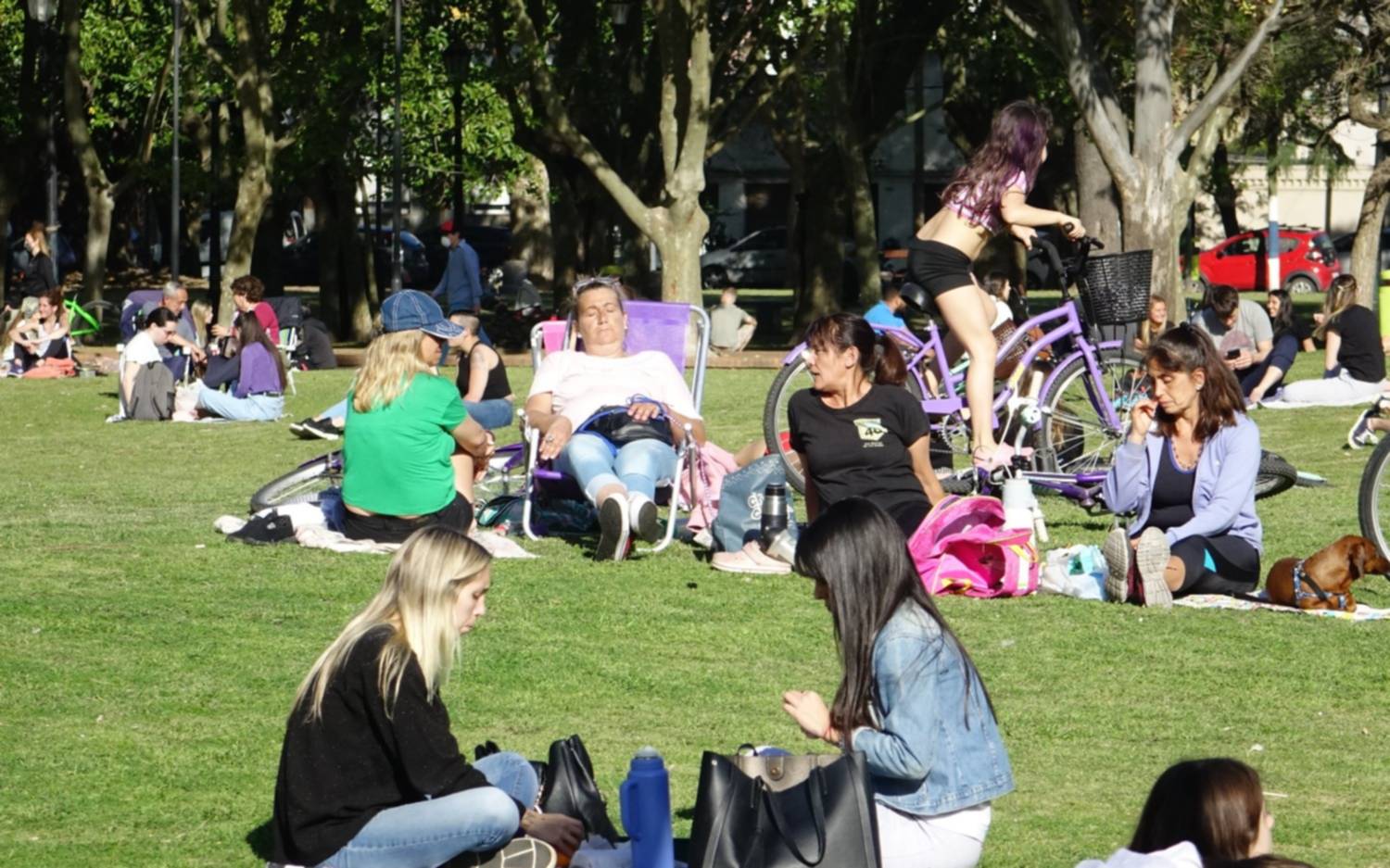 Domingo con cielo nuboso y máxima de 26 ºC  en La Plata