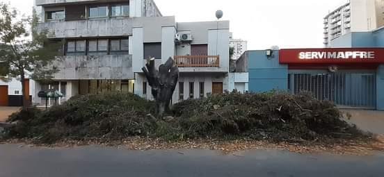 Queja por tremenda poda en el centro platense