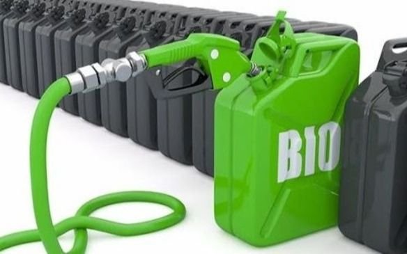 El Gobierno prorroga la actual ley de biocombustibles