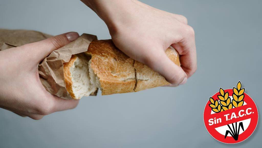 Investigadoras locales crean una nueva fórmula para elaborar pan sin gluten