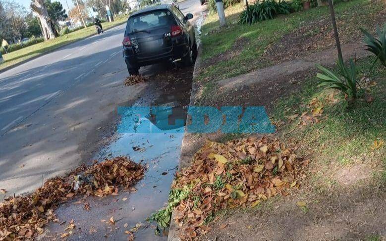 Hartazgo en Boulevard 84, entre 68 y 69, por falta de barrido y recolección de hojas