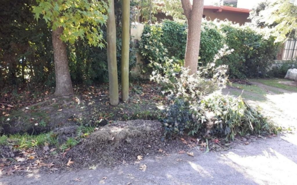 “Harta” de que le tiren ramas y basura en su vereda