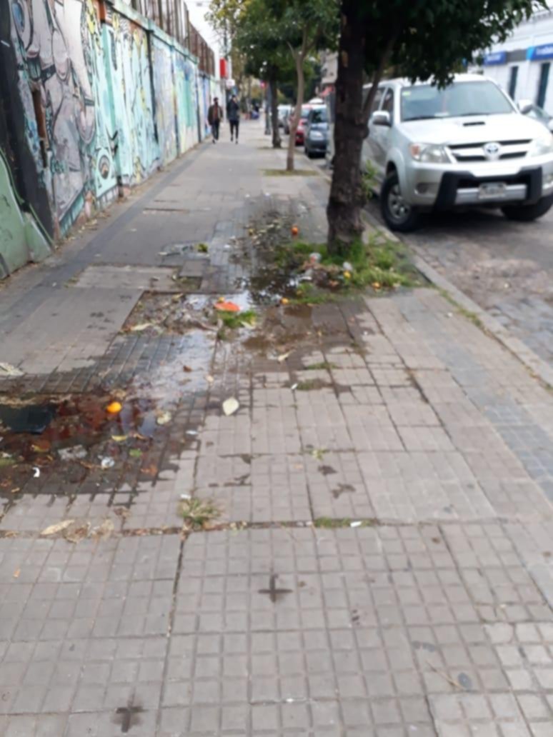 Cañería rota, basura y vereda destruida en 47 y 9