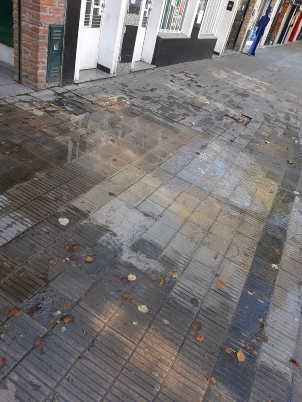 Quejas por cañería rota en pleno centro de Los Hornos