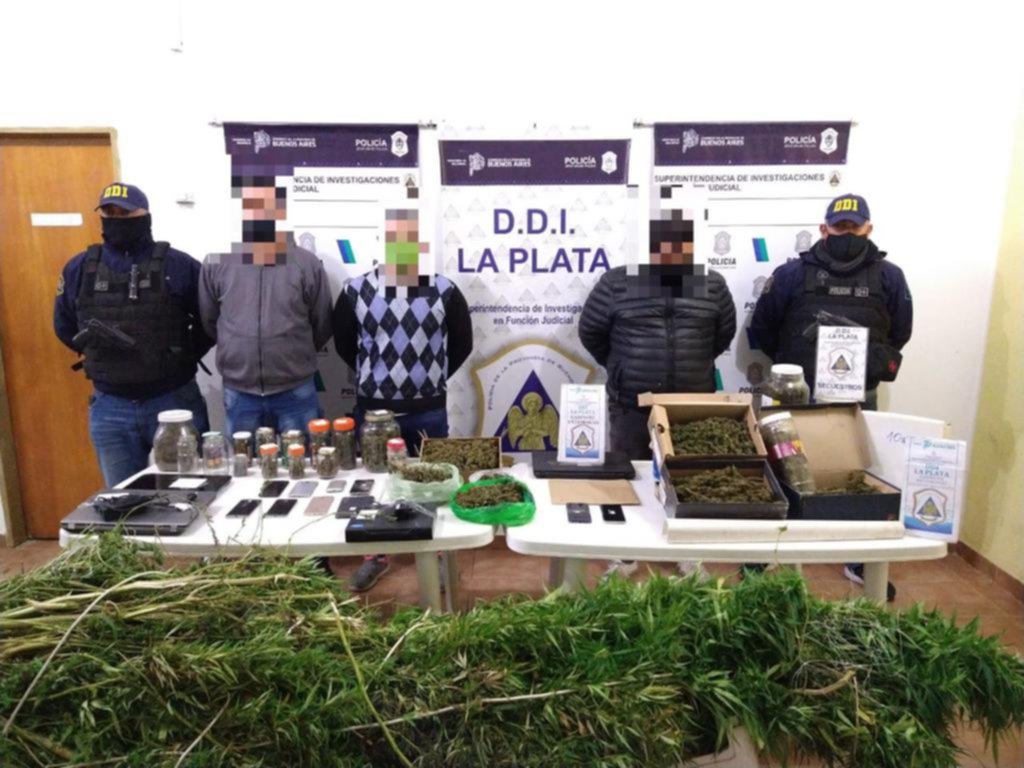 Cayó con su hijo, un vecino y 3.500.000 pesos en marihuana