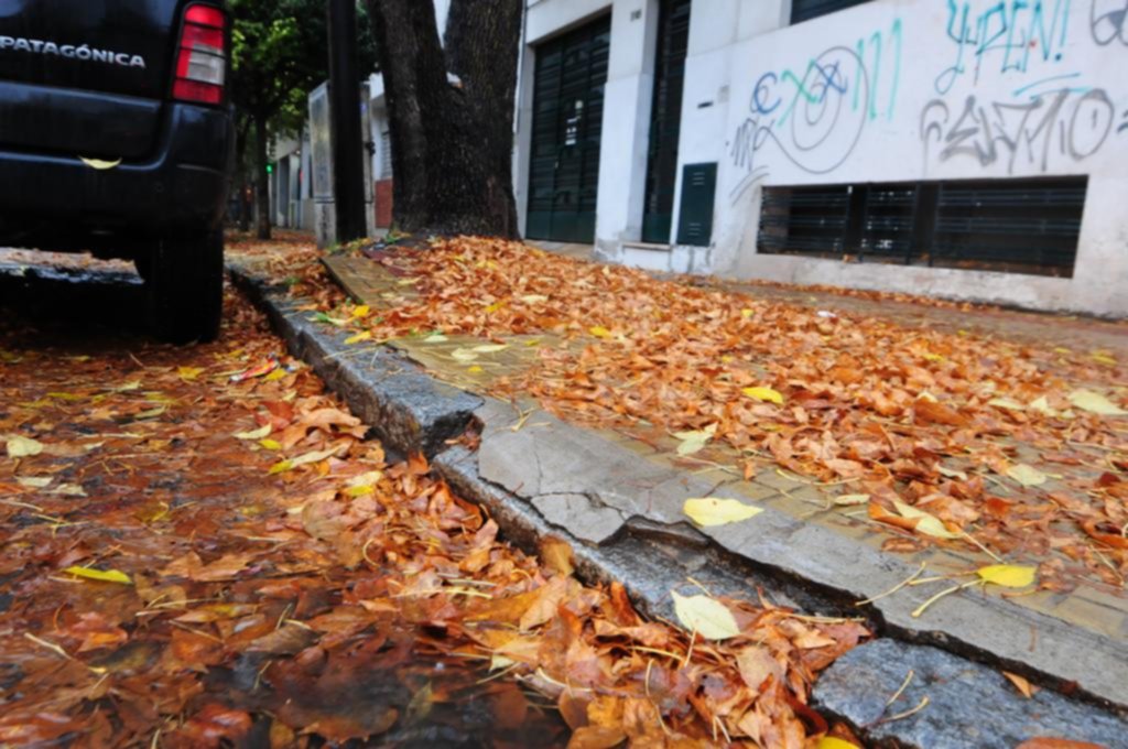 Hojarasca acumulada: temen que se tapen los sumideros