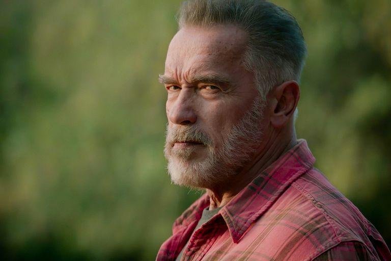 Arnold a la tevé: protagonizará una serie de espías para Netflix