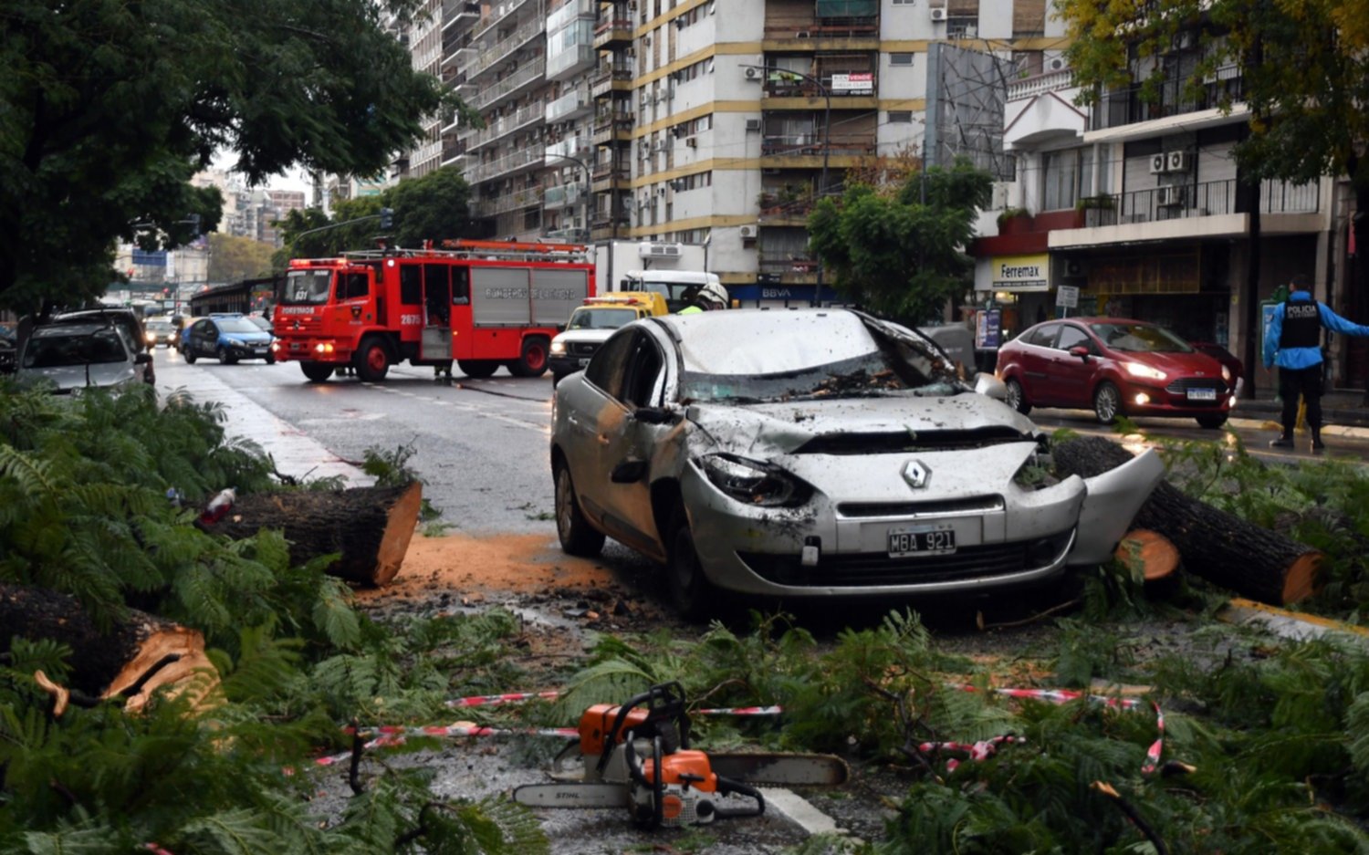 Dos personas resultaron heridas cuando iban en auto y se les cayó un árbol 