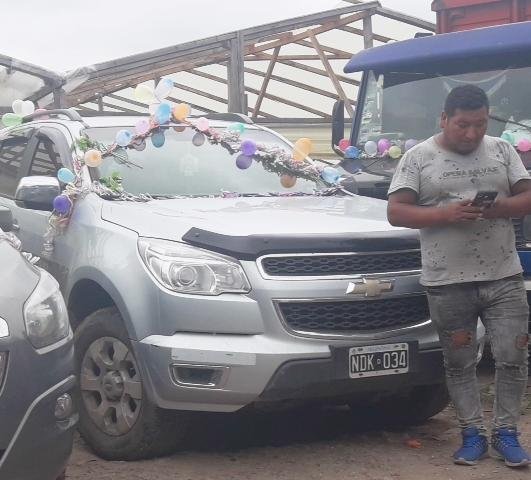 Patearon a una embarazada, mataron a 4 perros y robaron más de dos millones de pesos