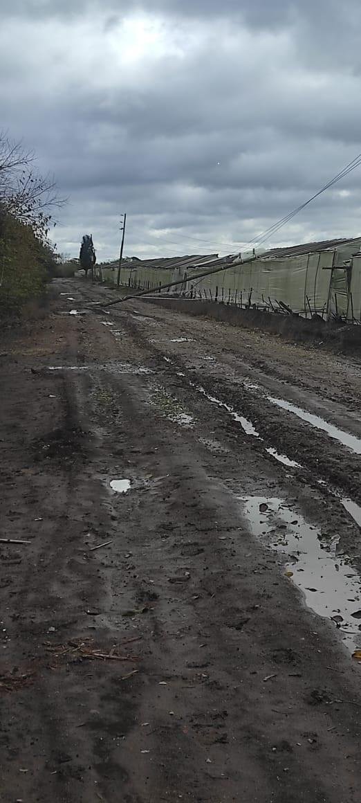 Reclamo por un poste de luz caído en Arana
