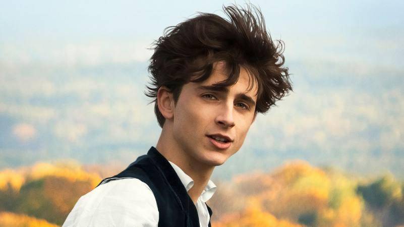 Willy Wonka tiene nueva cara: Timothée Chalamet