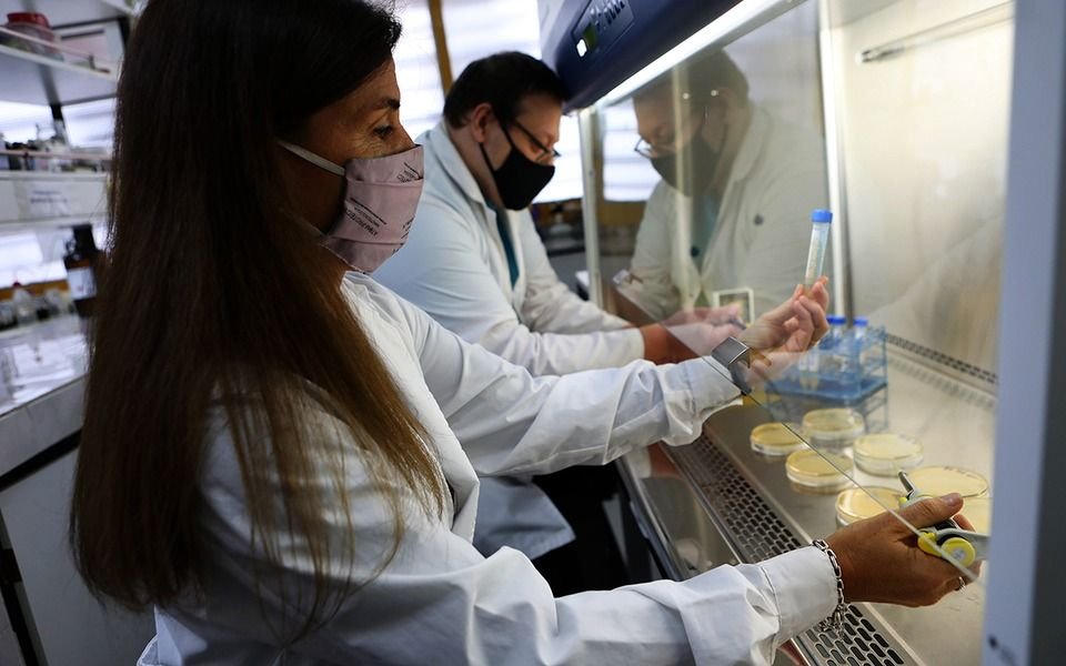 Científicos platenses transforman desechos de la industria quesera en productos de mayor valor