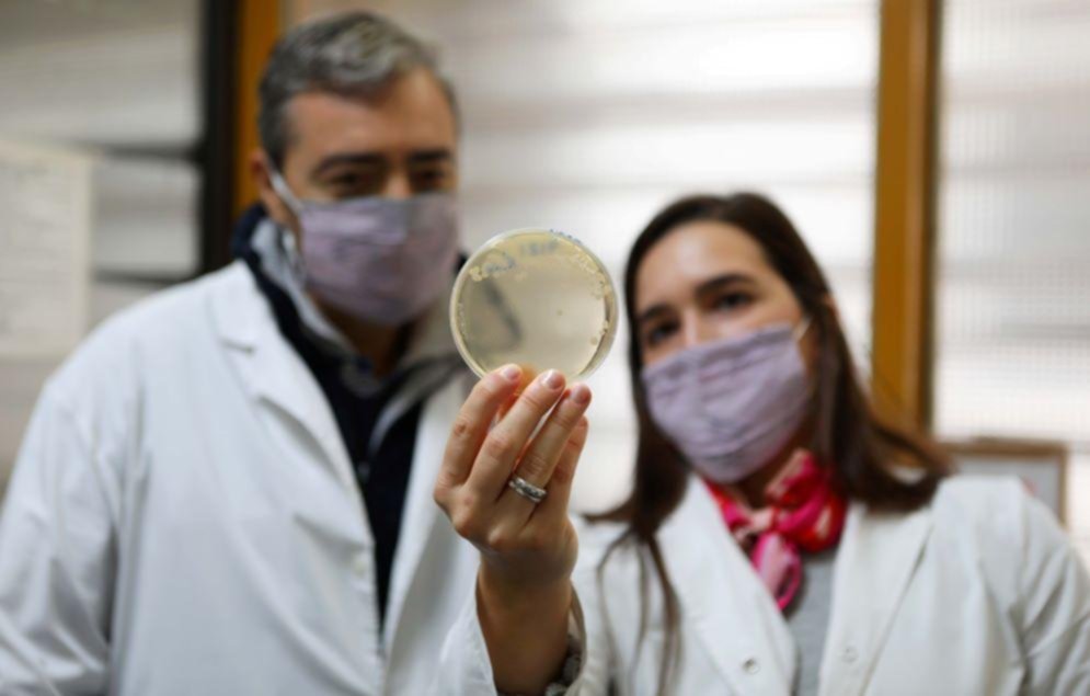 Logro científico con desechos del suero quesero