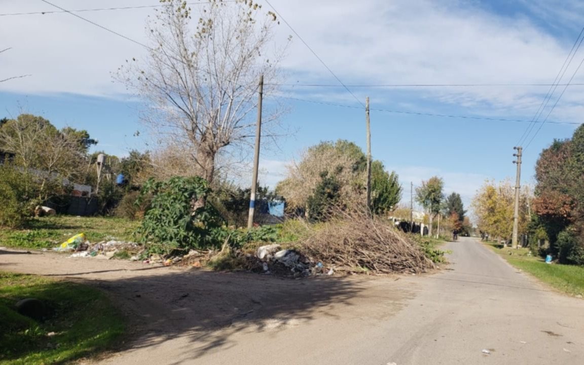 Reclamo por una montaña de ramas y basura en un sector de City Bell