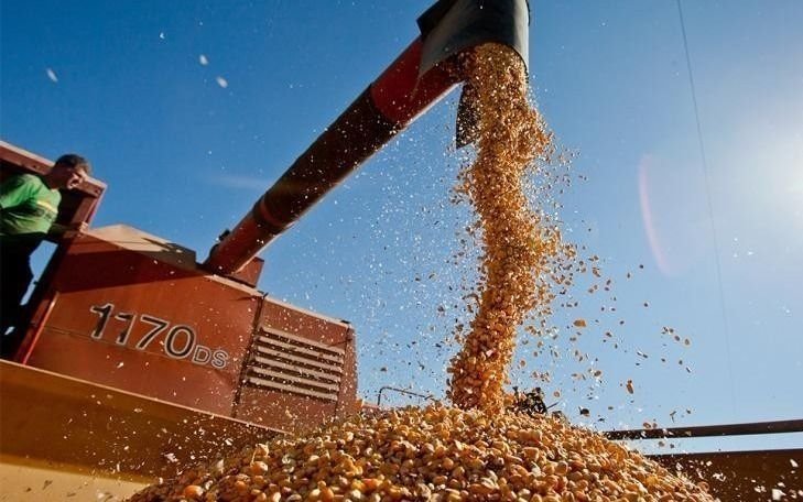 El campo extendió el paro hasta el miércoles próximo