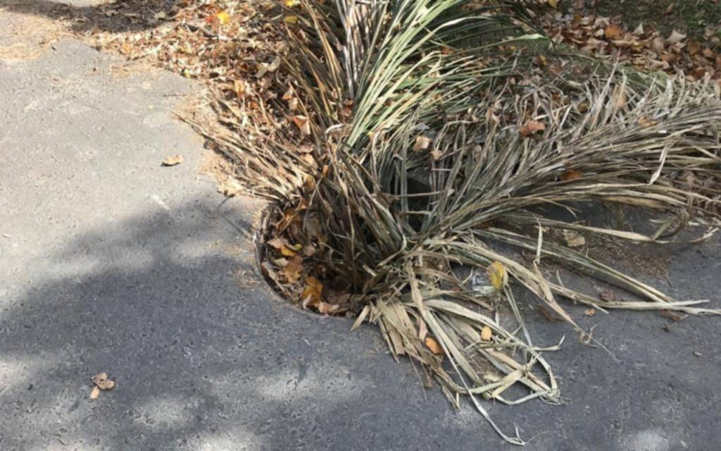 Una tapa de desagüe falta hace más de un mes en una esquina de Gonnet: "Es un peligro"