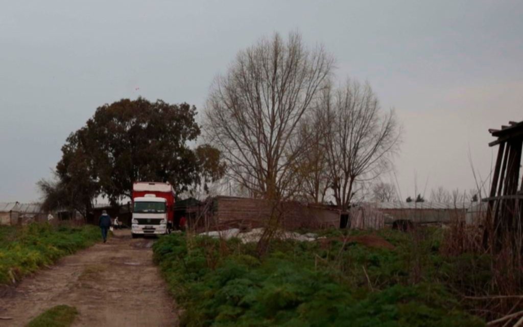 En 2020 hubo un femicidio cada 35 horas en nuestro país y contabilizaron 251 víctimas directas