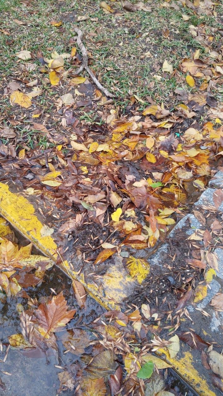 Inquietud por una perdida de agua y la hojarasca