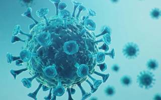 Dr. Enrique Rifourcat: "Hay un leve repunte de contagios de Covid en La Plata"