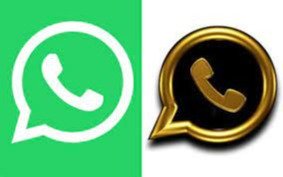 Ahora WhatsApp permite otras reacciones: las nuevas estructuras en las respuestas de los usuarios
