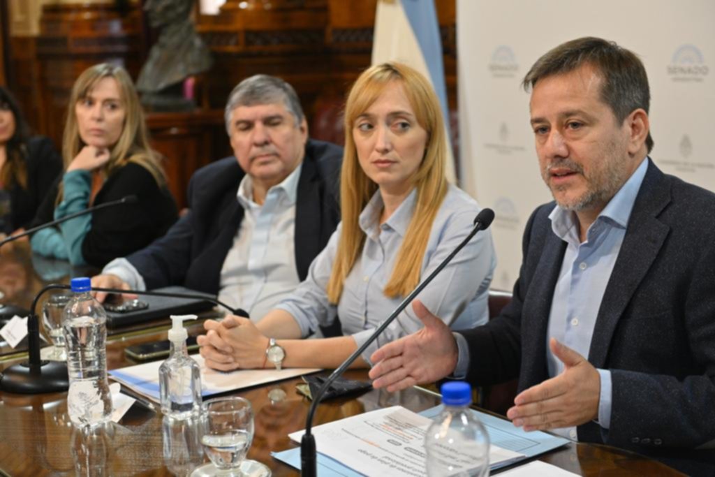 El kirchnerismo presentó un proyecto para crear una moratoria previsional
