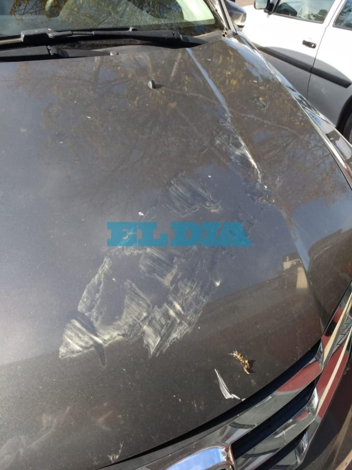 Otro poste caído que de milagro no fue tragedia: le abolló el auto a un vecino de San Carlos