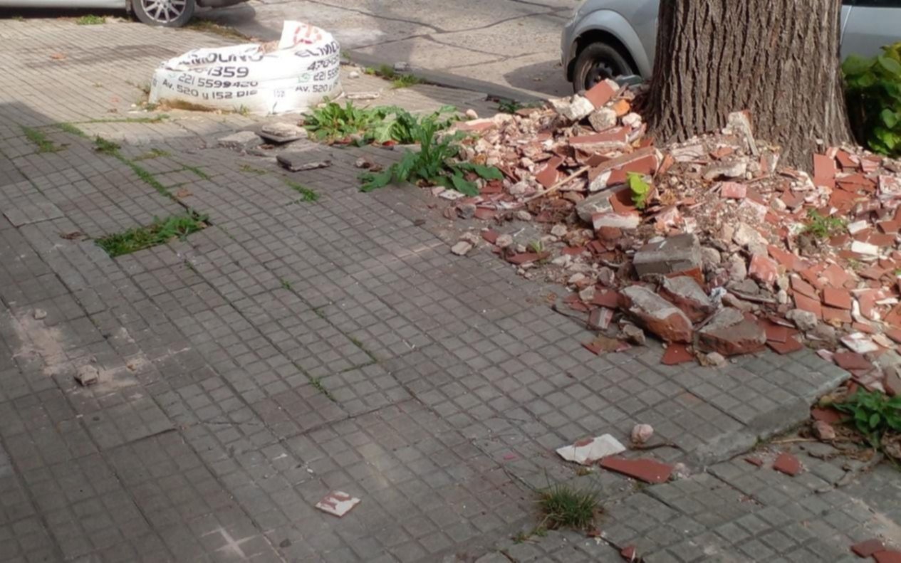 Un árbol que daña la vereda y un reclamo que lleva cinco años en Barrio Norte