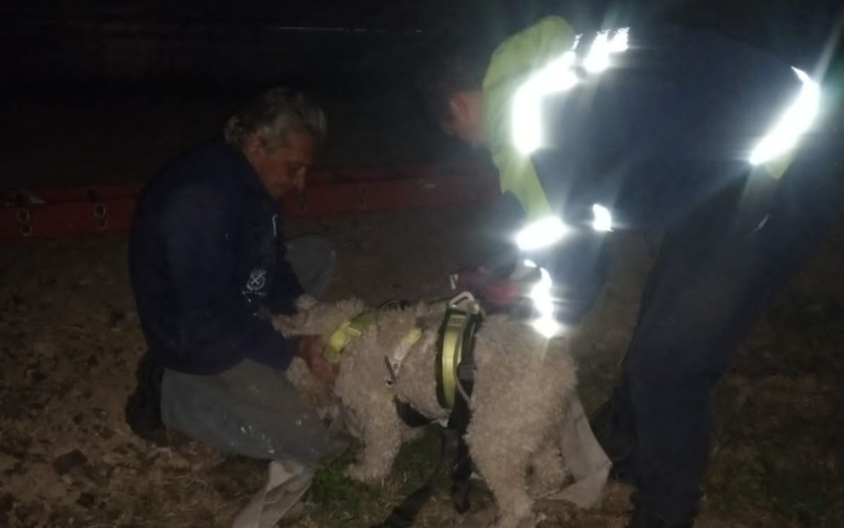 Rescate exitoso: salvaron a un perro dentro de un pozo ciego en Melchor Romero
