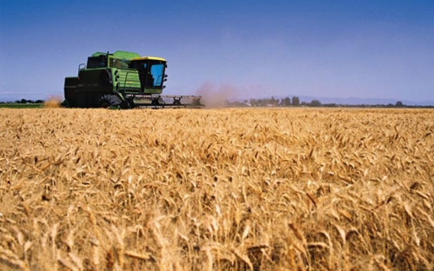 Monto récord: Las exportaciones de trigo alcanzaron los US$ 3.400 millones