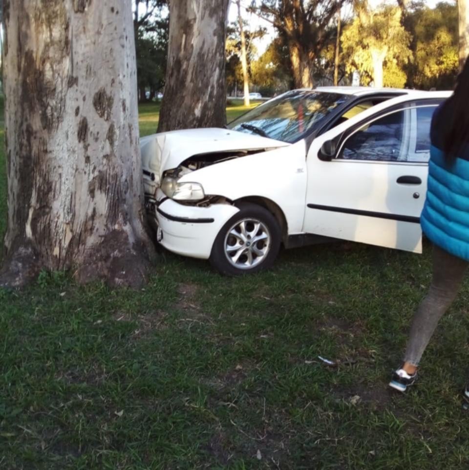 Conductor chocó contra un árbol frente a la Facultad de Medicina