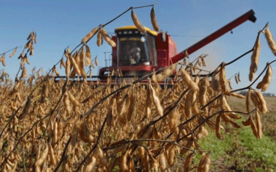 Soja: se llevan cosechados 27 millones de toneladas en el país
