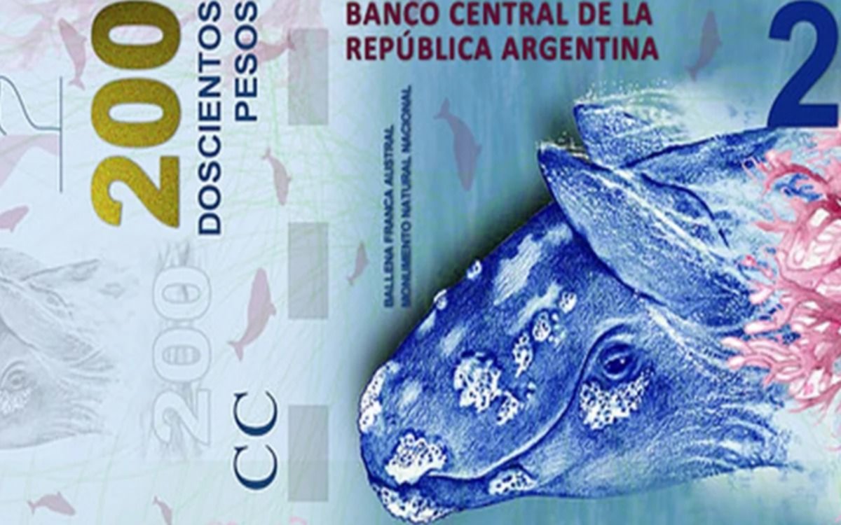 Adiós a los animales en los billetes: el Gobierno anuncia mayor presencia femenina