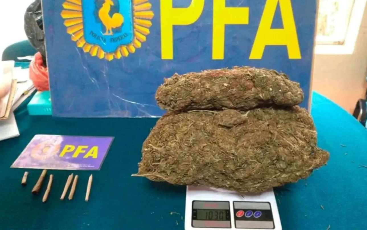 Secuestran un kilo de marihuana en el interior de una escuela que depende de la UNLP