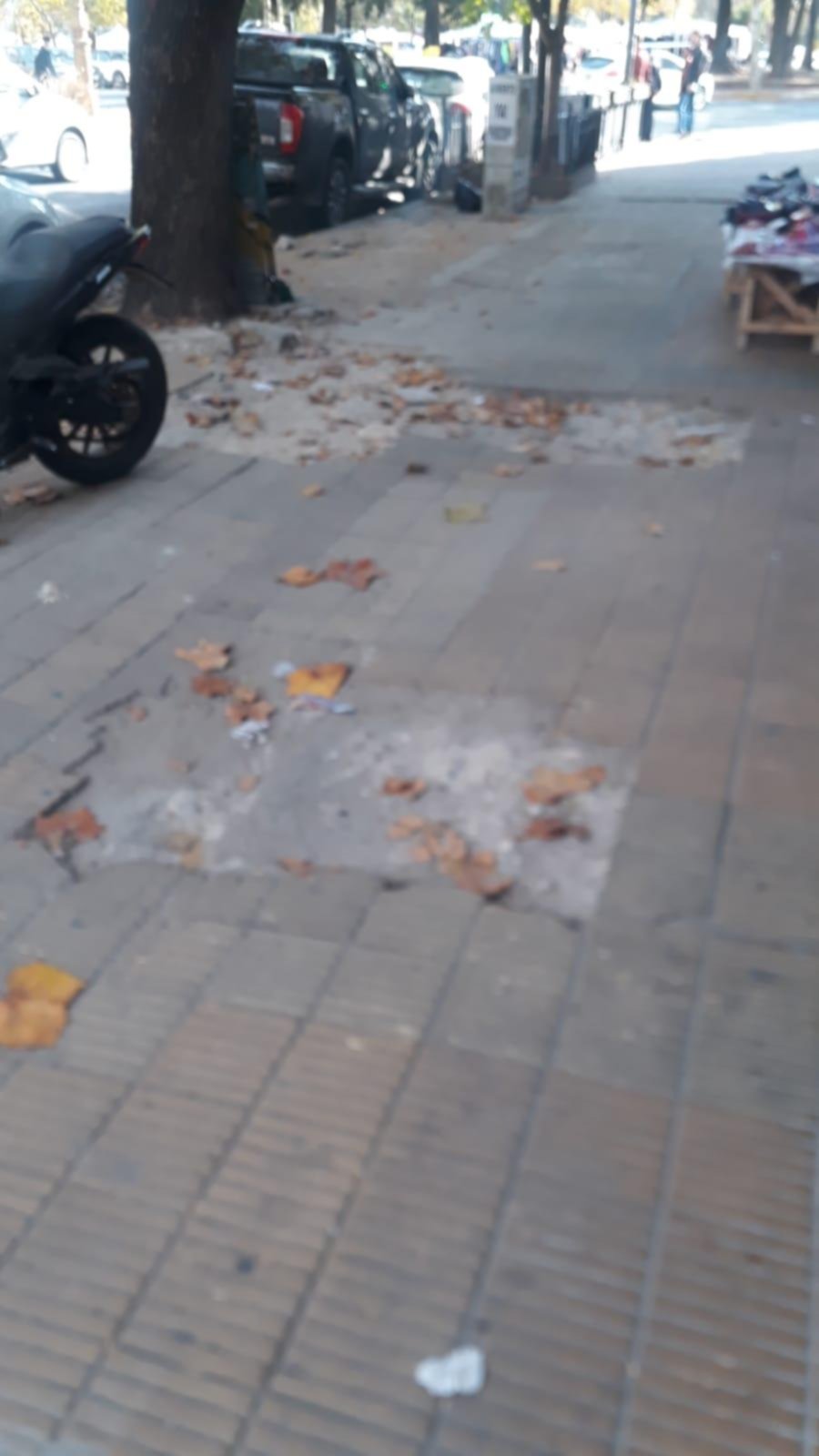 Veredas rotas en pleno centro de la Ciudad