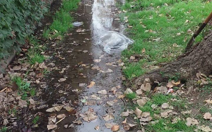 Pérdida de agua en Los Hornos deja a un barrio sin servicio: Absa y Ocaba se desentienden