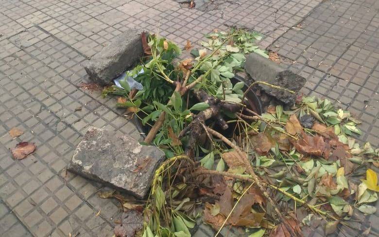 Vecinos de 22 y 35 denuncian robo de una boca de tormenta y temen por la profundidad del pozo