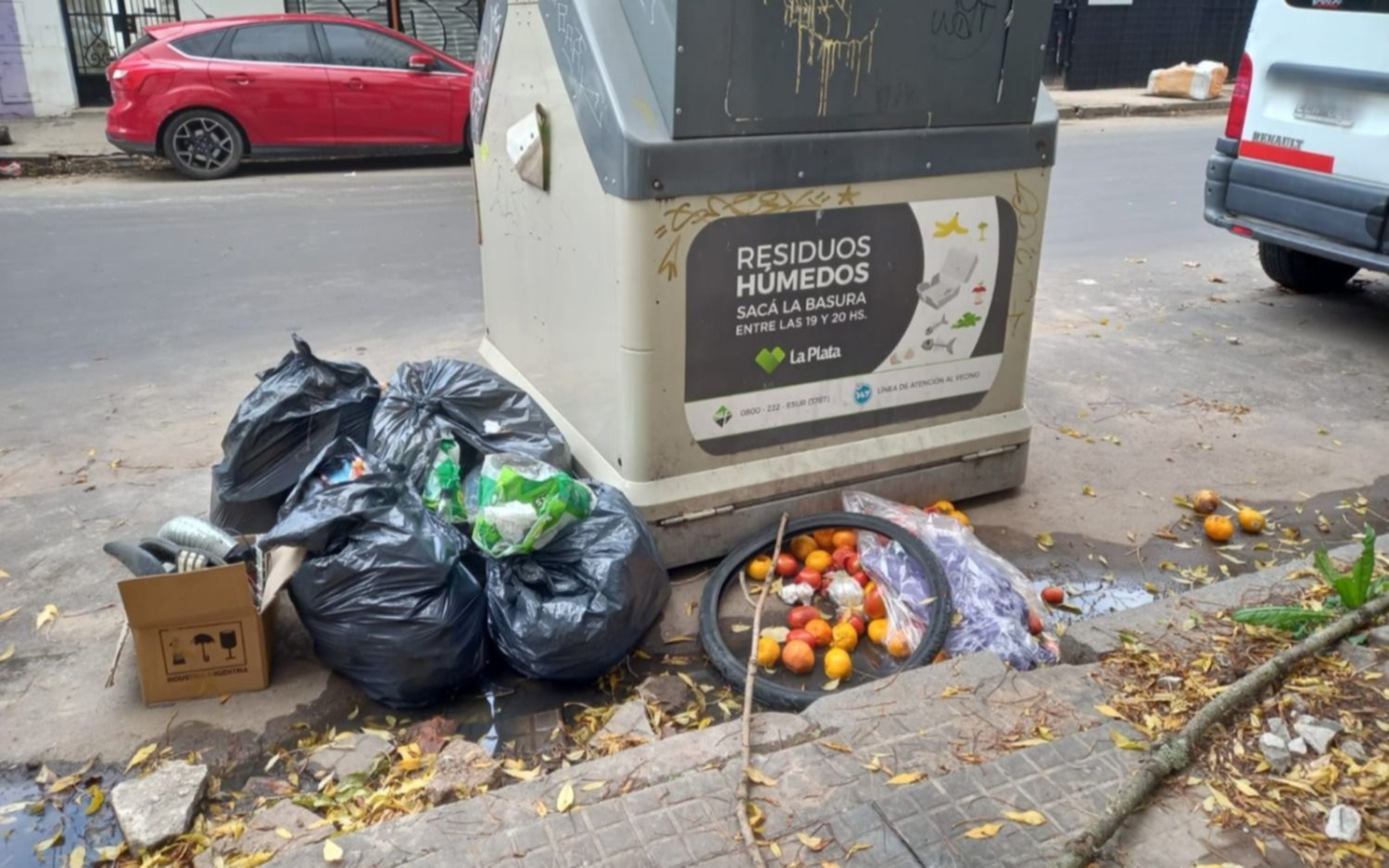 Calles repletas de basura, roedores y contenedores explotados en pleno centro